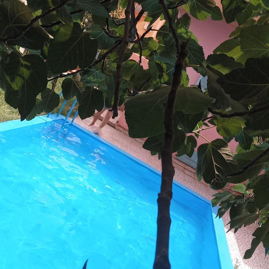 Oasispalmares Villa Errachidia Ngoại thất bức ảnh