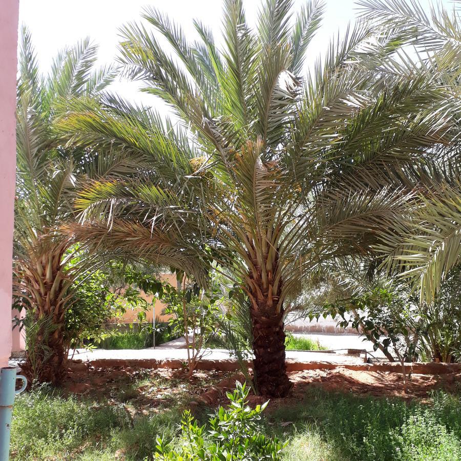 Oasispalmares Villa Errachidia Ngoại thất bức ảnh